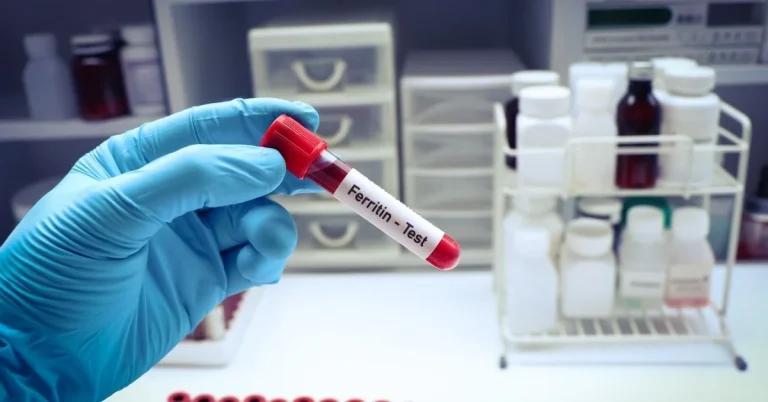 Ferritin Nedir